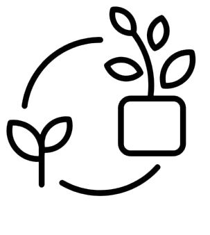 Transformation Icon